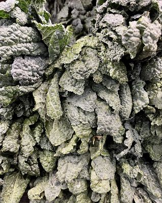 Kale - Lacinato - Ea