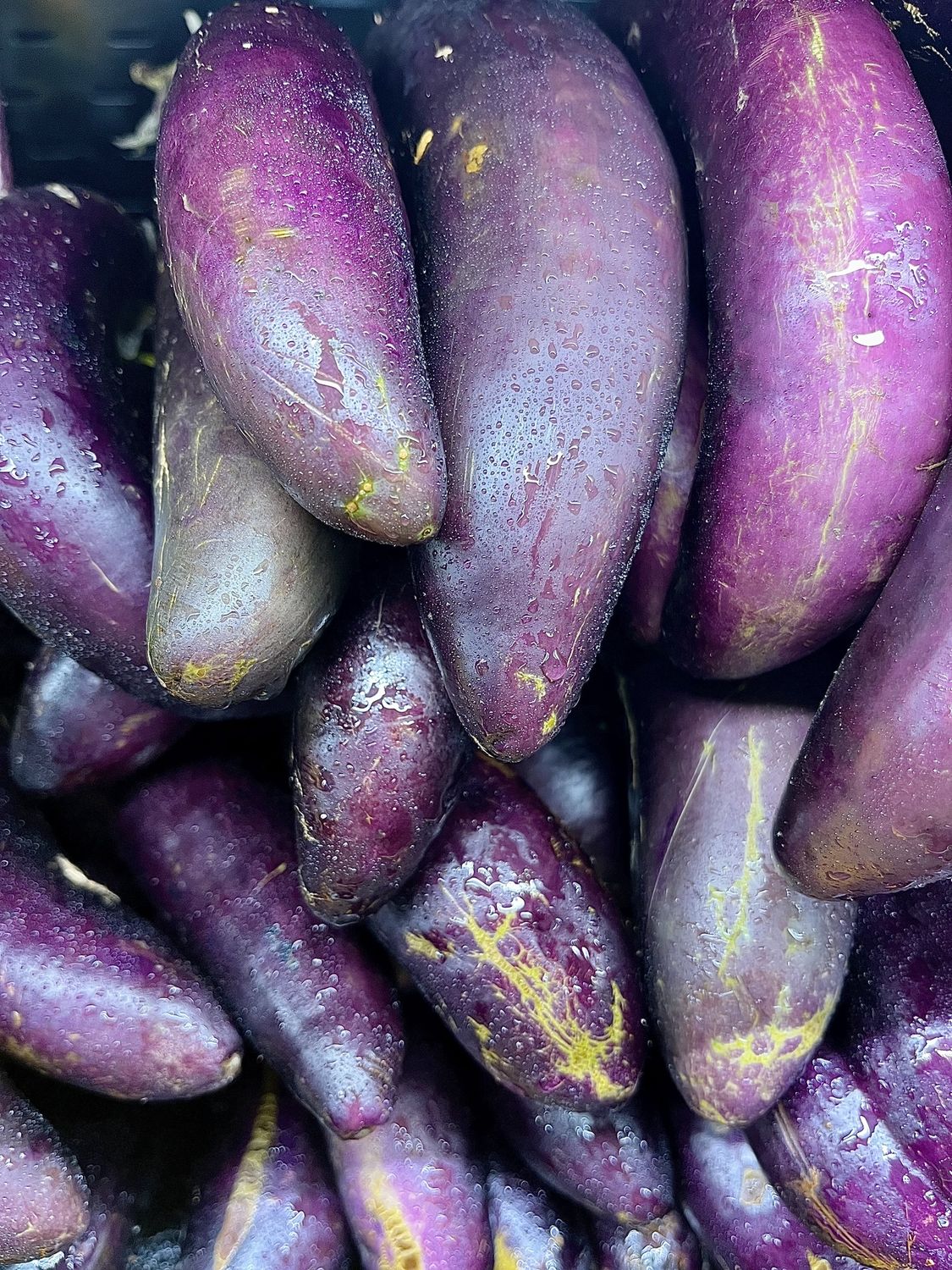 Japanese Eggplant - lb
