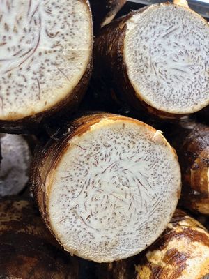 Taro - lb
