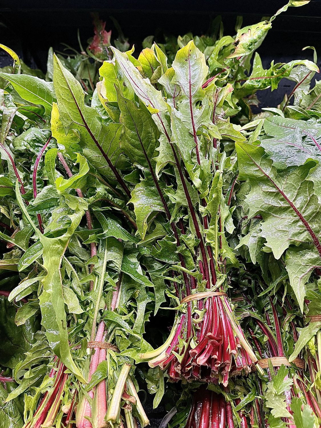 Dandelion Greens - bu