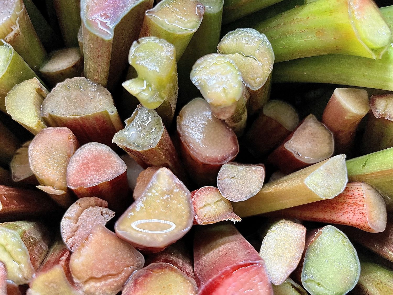 Rhubarb - lb
