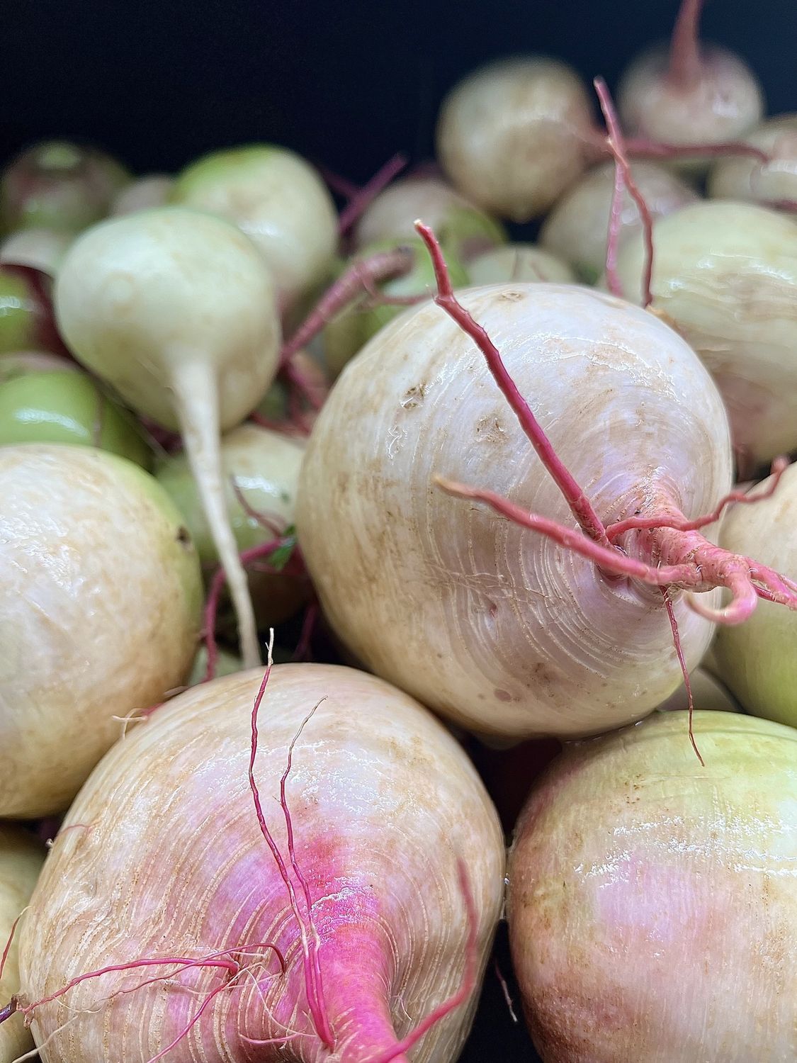 Watermelon Radish - lb