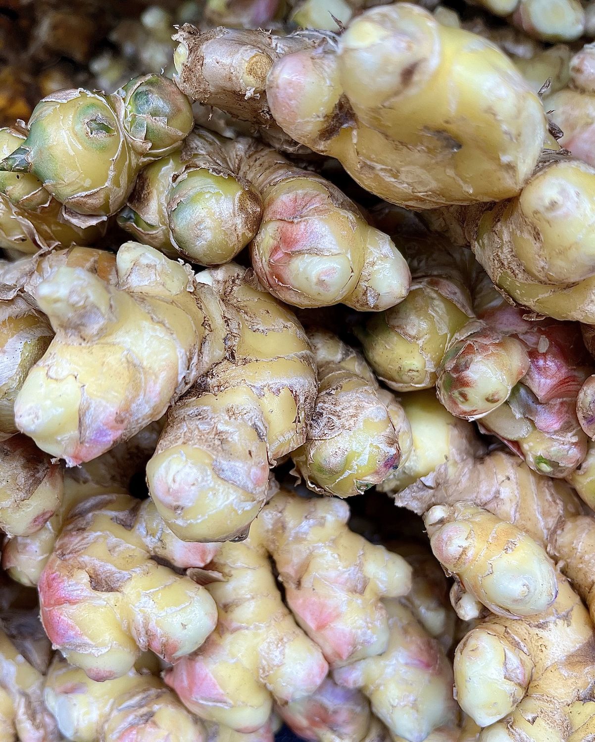 Yellow Ginger - lb