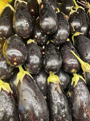 Italian (Round) Eggplant - lb
