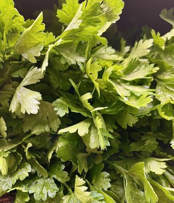 Italian Parsley - bu