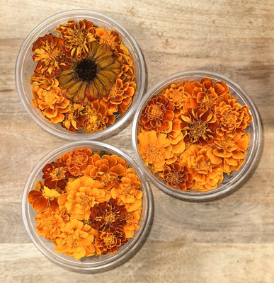 Edible Flowers