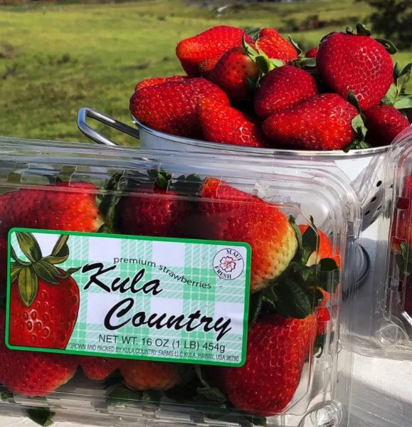 Kula Country Farms Strawberries - ea