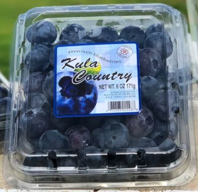 Kula Country Farms Blueberries - ea