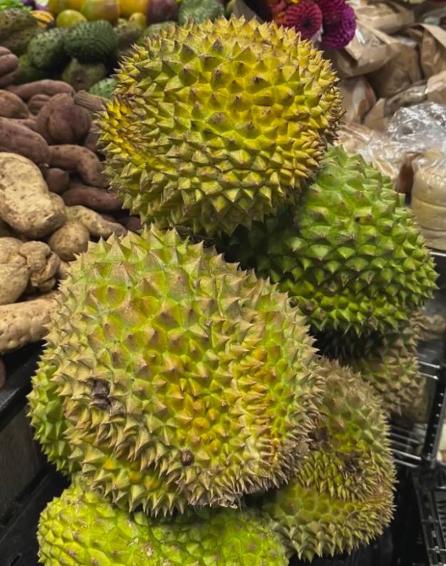 Fresh Durian
