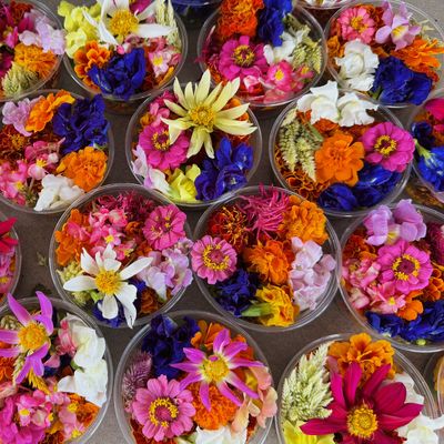 Mixed Array Edible Flowers