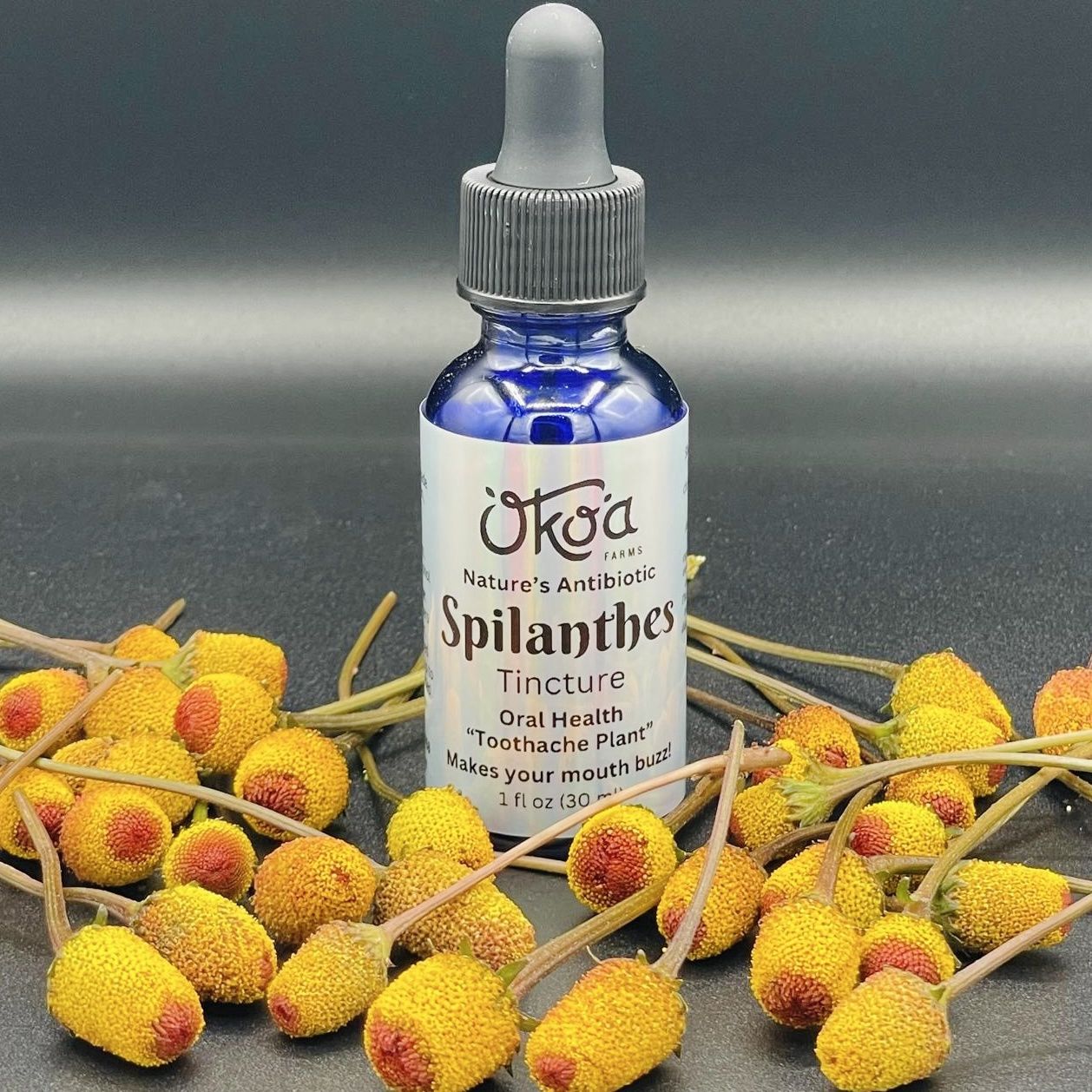 Spilanthes Tincture