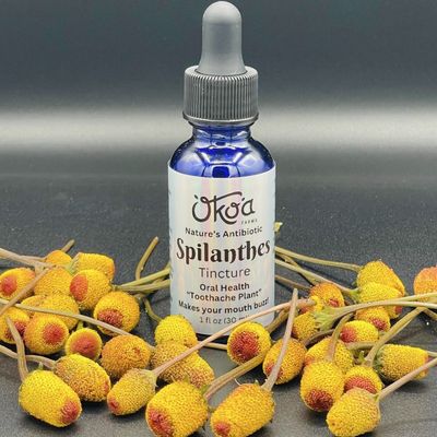 Spilanthes Tincture