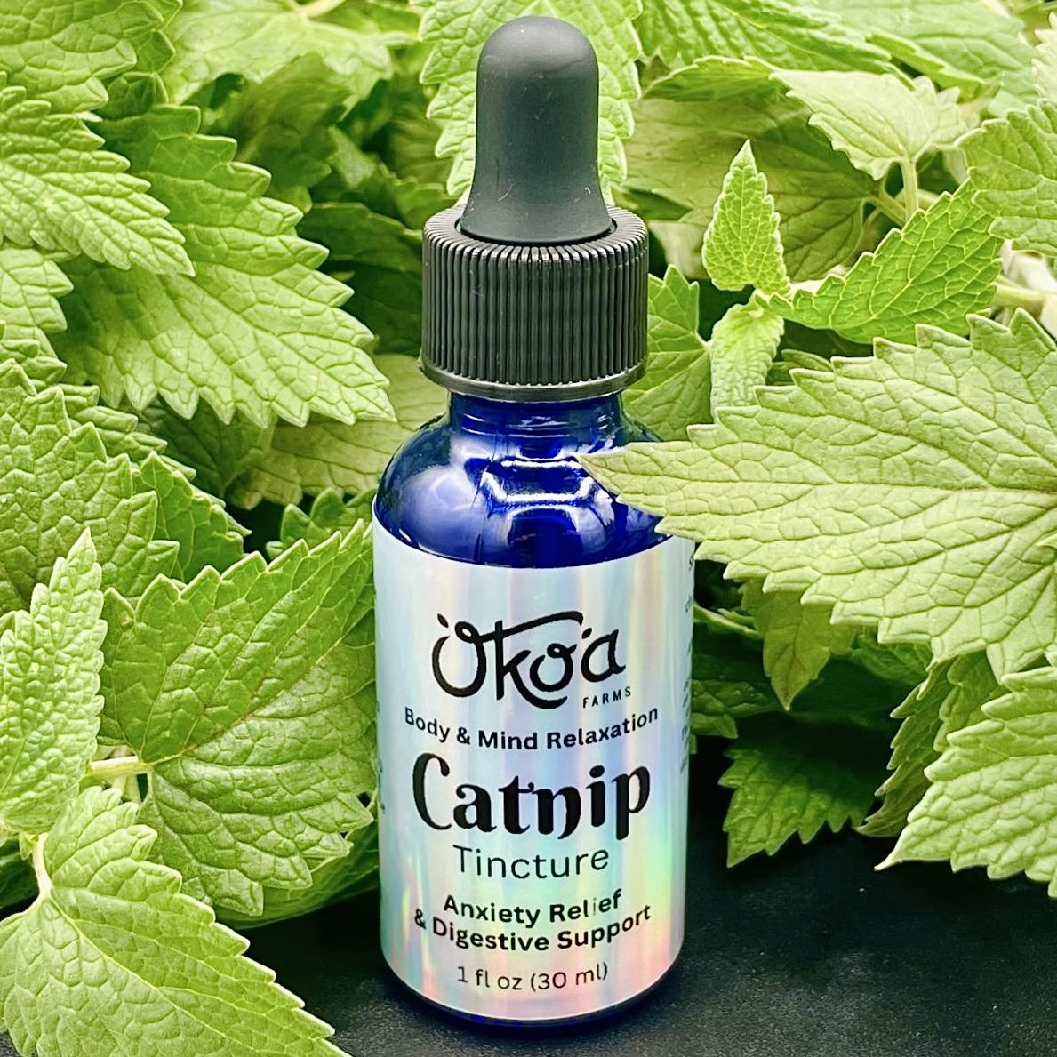 Catnip Tincture