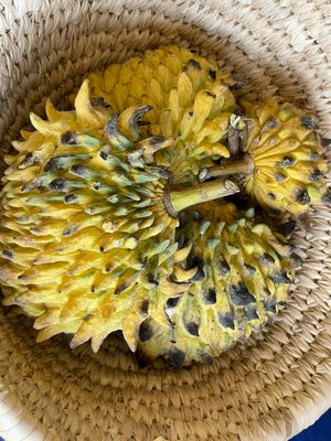 Exotic &amp; Tropical Fruits