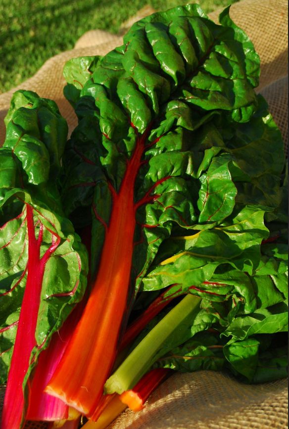Chard - bu