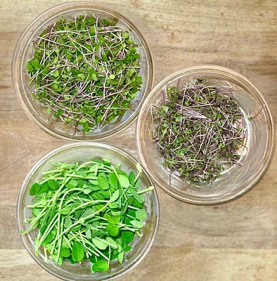 Microgreens
