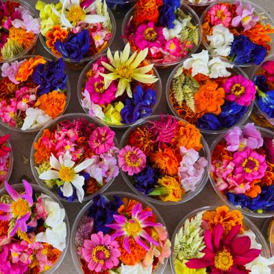 Edible Flowers &amp; Microgreens