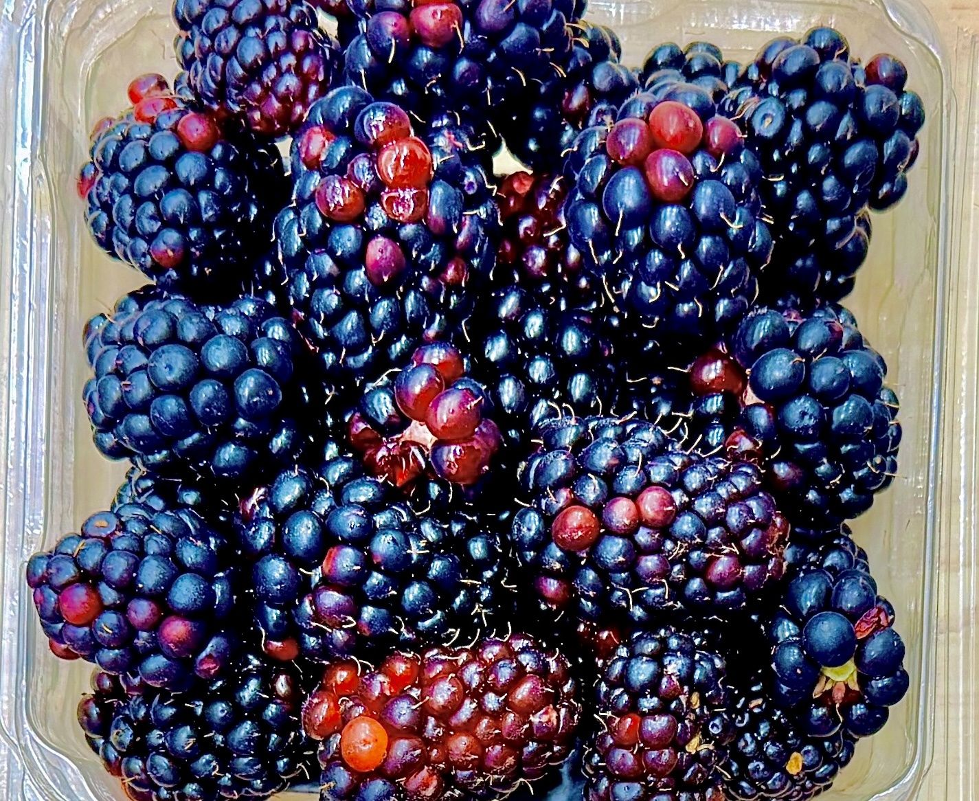 Black Raspberries - ea
