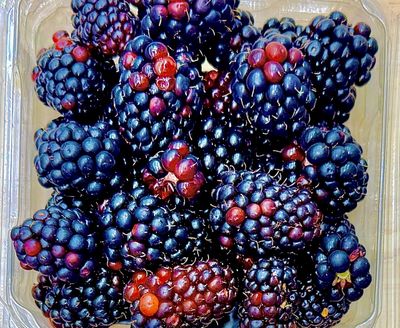 Black Raspberries - ea