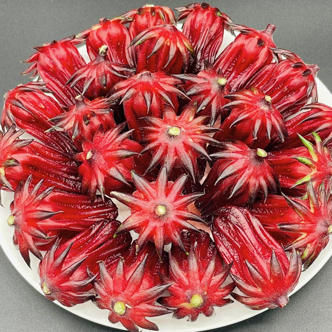Roselle Edible Flowers
