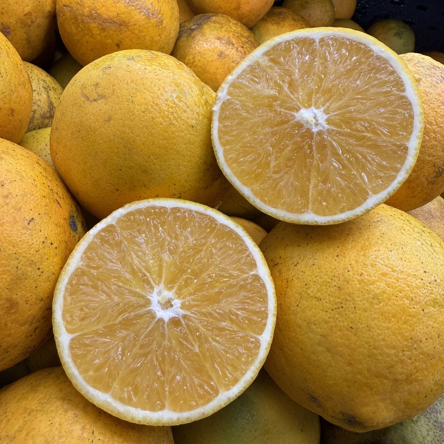 Navel Oranges - lb