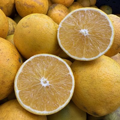 Navel Oranges - lb