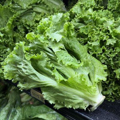 Green Leaf Lettuce - lb