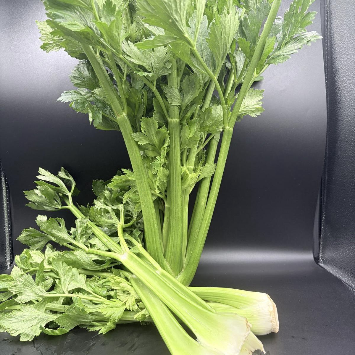 Celery - lb
