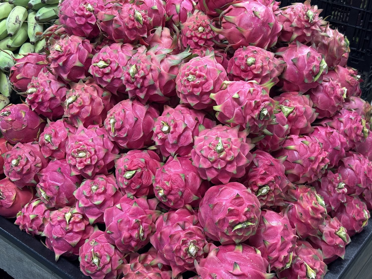 Dragonfruit - lb
