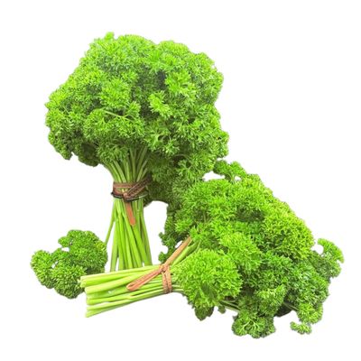 Curly Parsley - bu