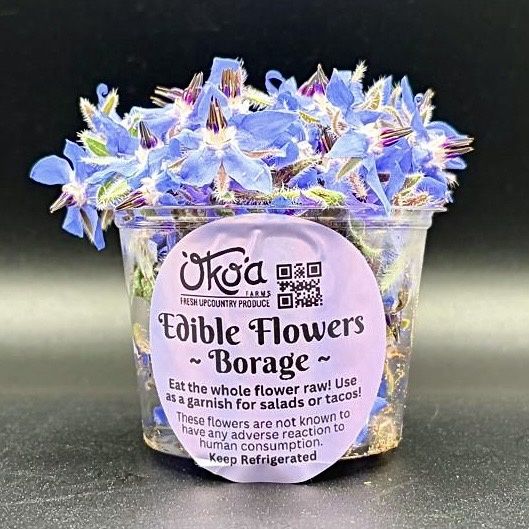 Borage Edible Flower - ea