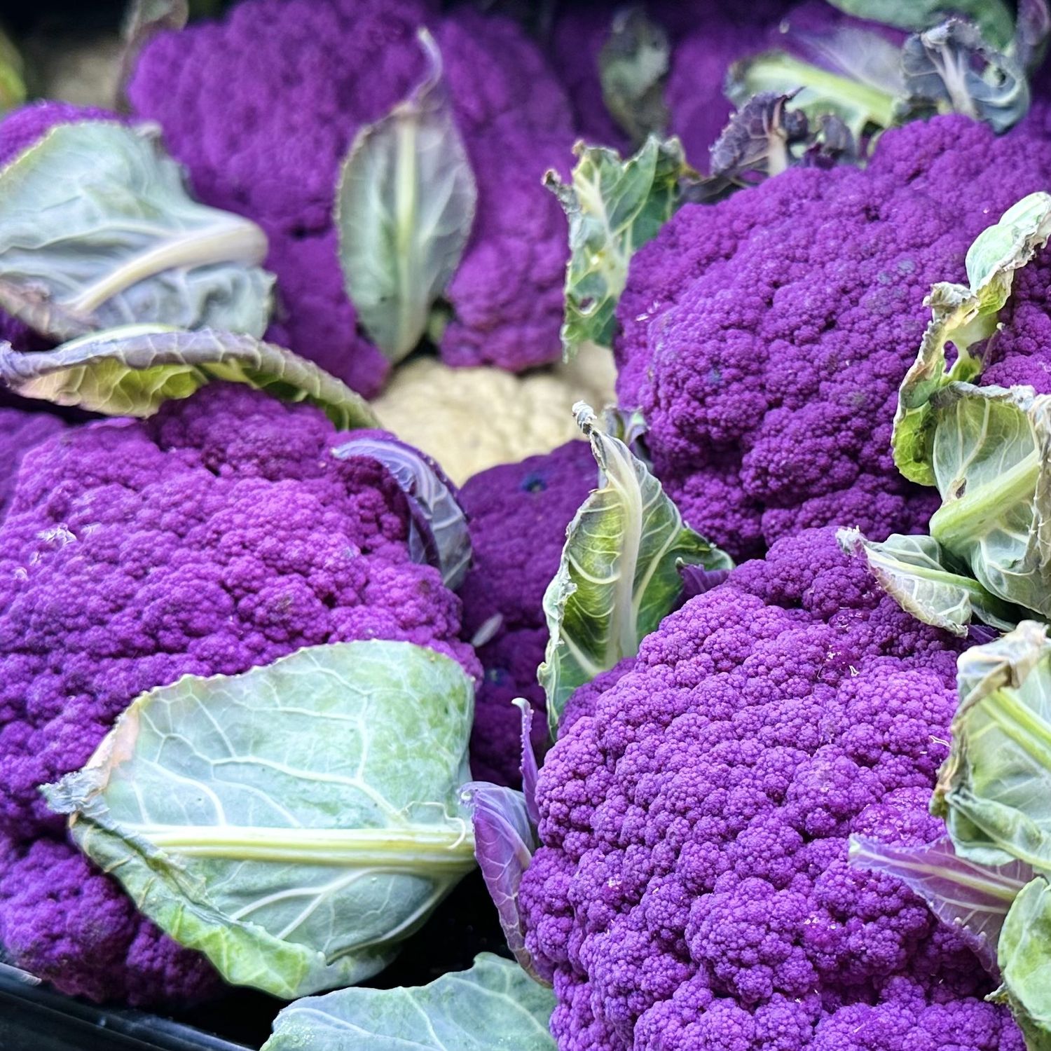 Cauliflower - lb, Color: Purple