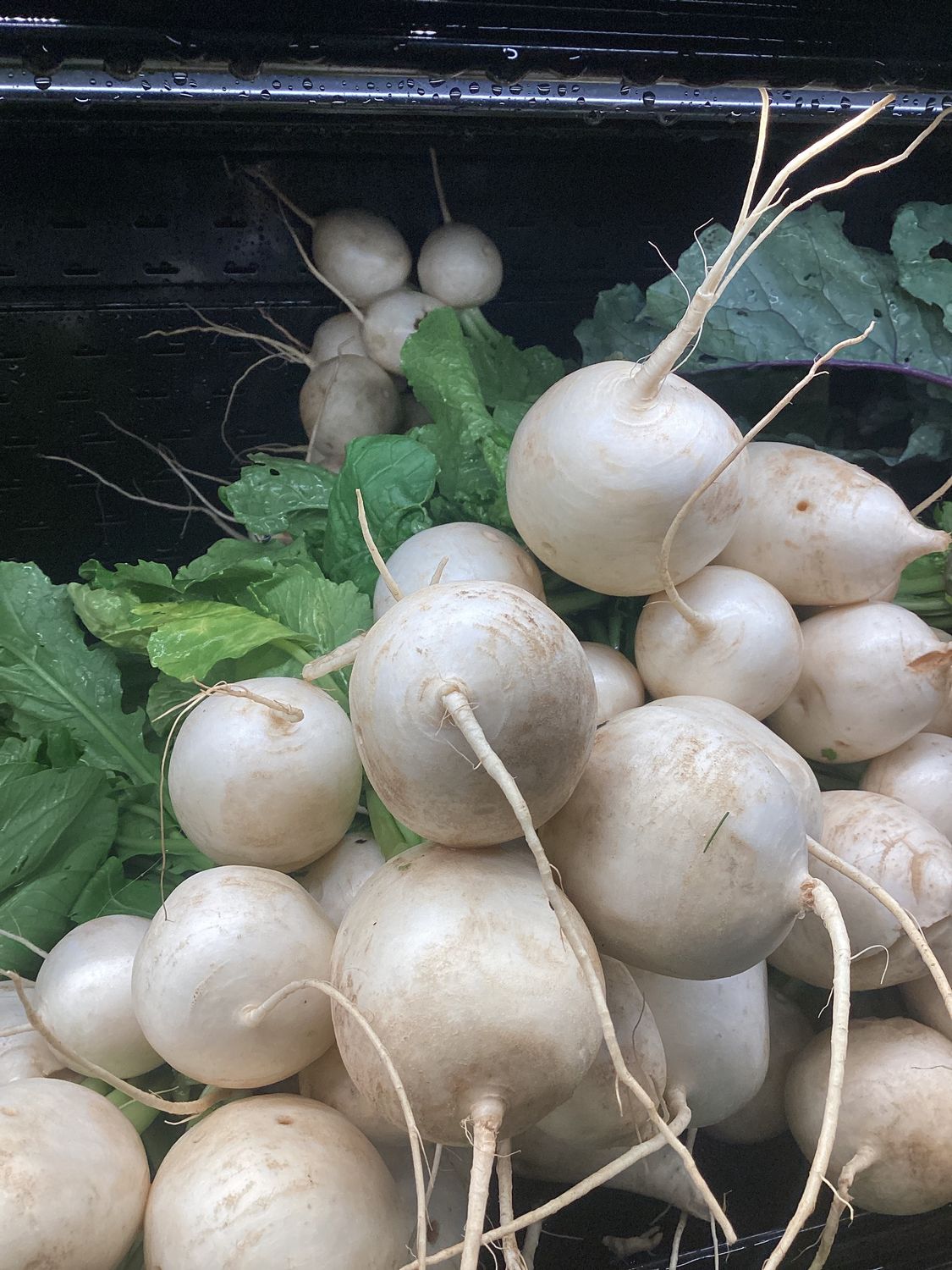 White Turnips - lb