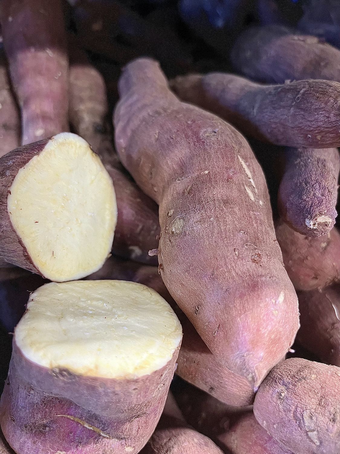 Sweet Potato, Flavor: Satsuma - LB