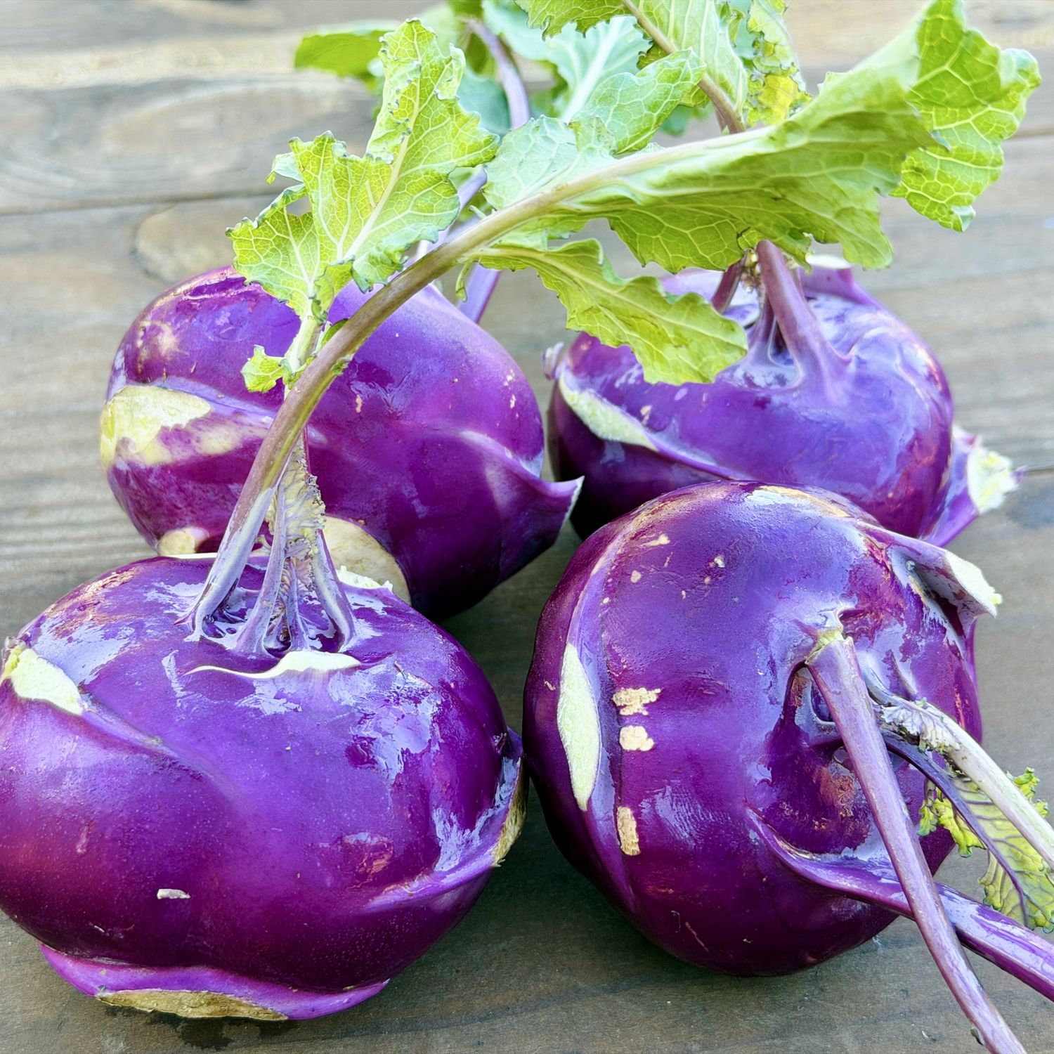 Kohlrabi - lb