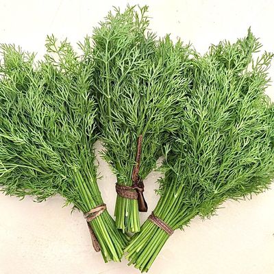 Dill - bu