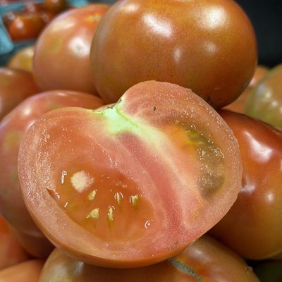 Round Tomatoes - lb