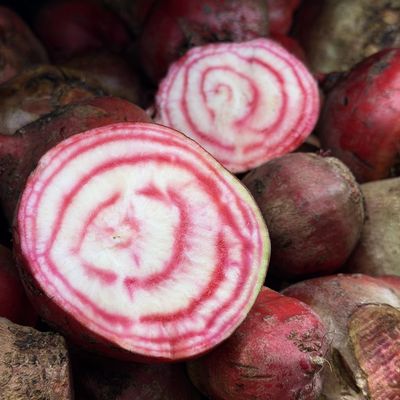 Chiogga (Candy Striped) Beets - lb