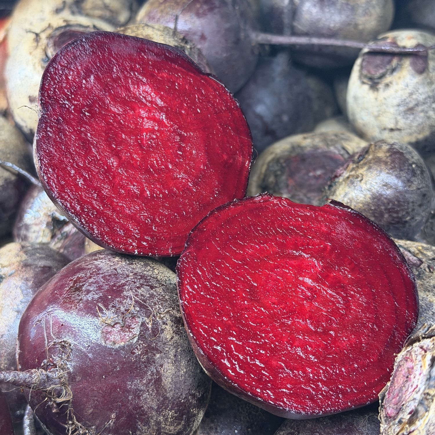 Red Beets - lb
