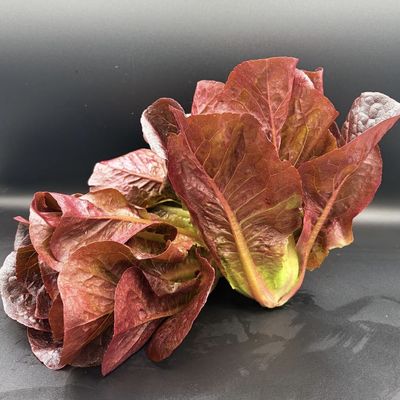 Baby Red Romaine Lettuce - lb