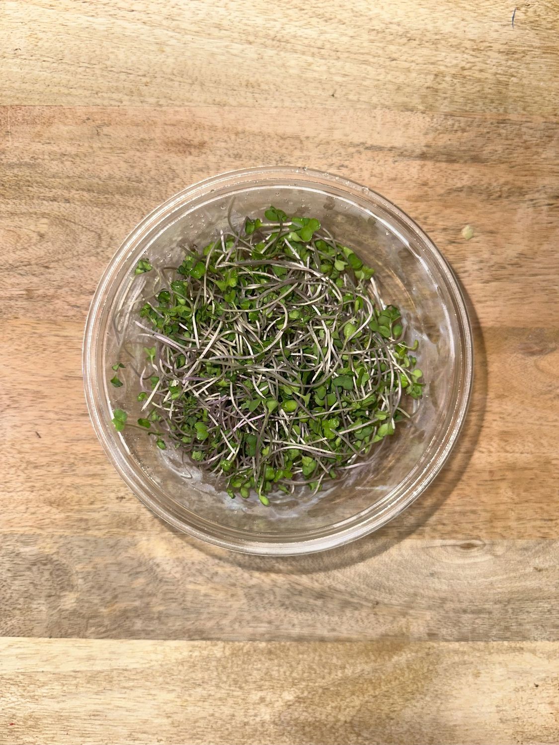 Microgreens - ea, Flavor: Kalefetti