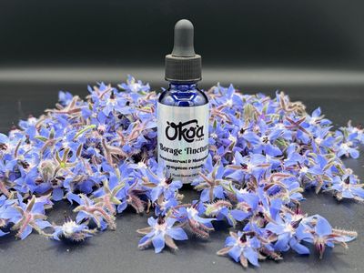 Borage Tincture