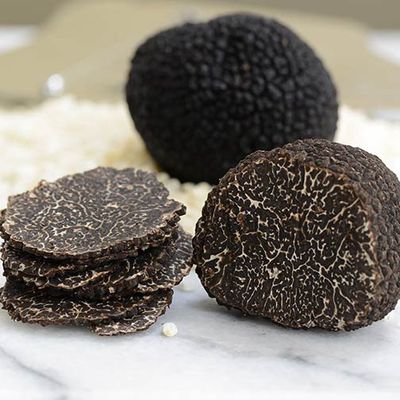 Mushroom, Black Winter Truffle