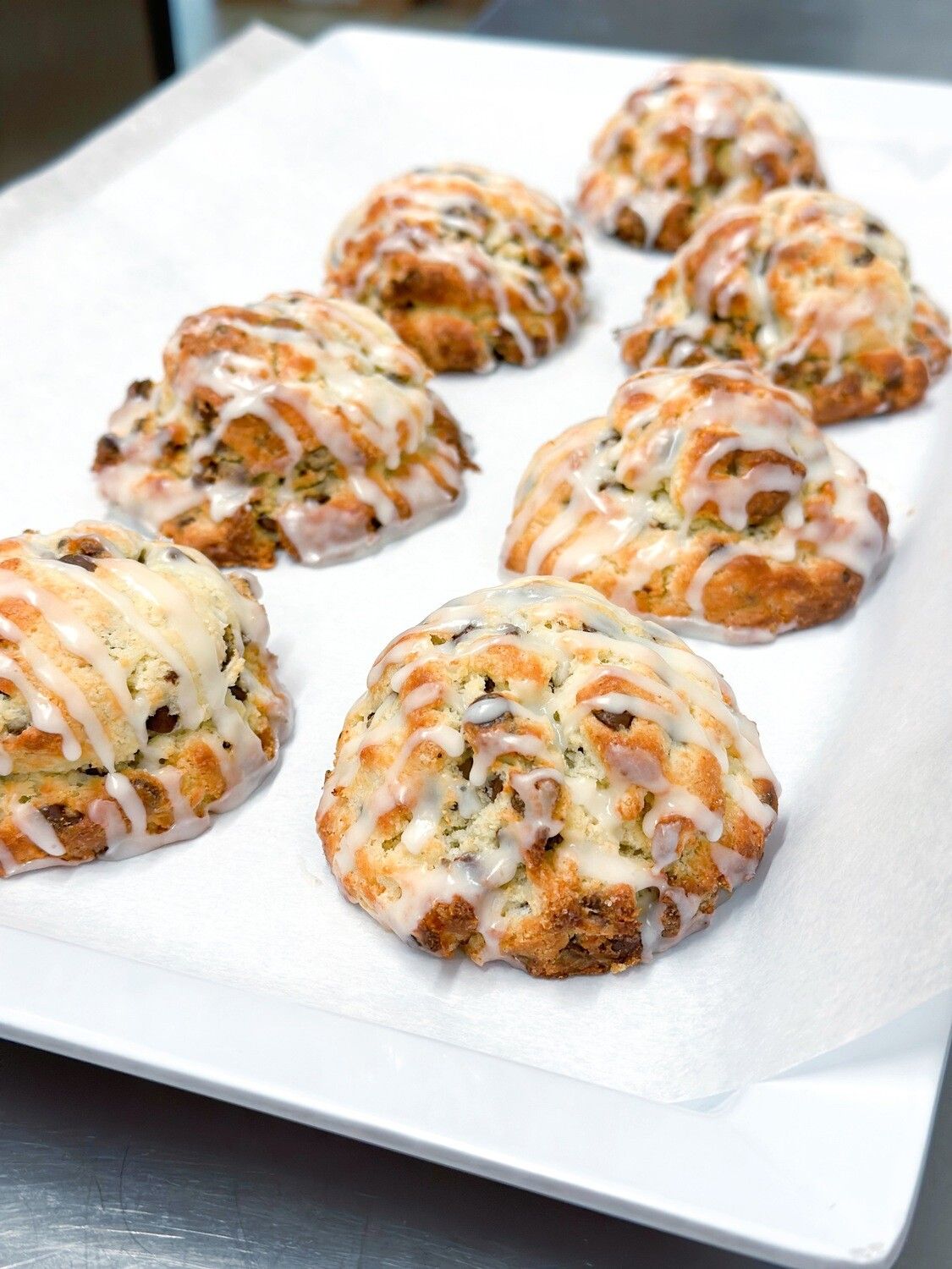 Chocolate Chip Scones (6-pack)