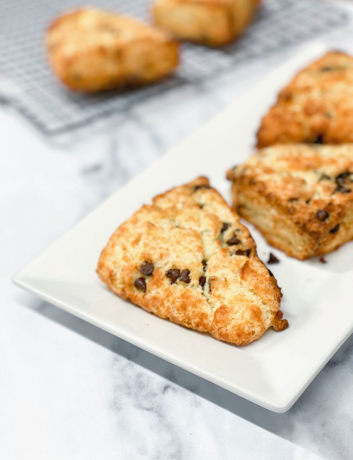Chocolate Chip Scones (6-pack, Vegan)
