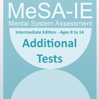 MeSA-IE Additional Tests