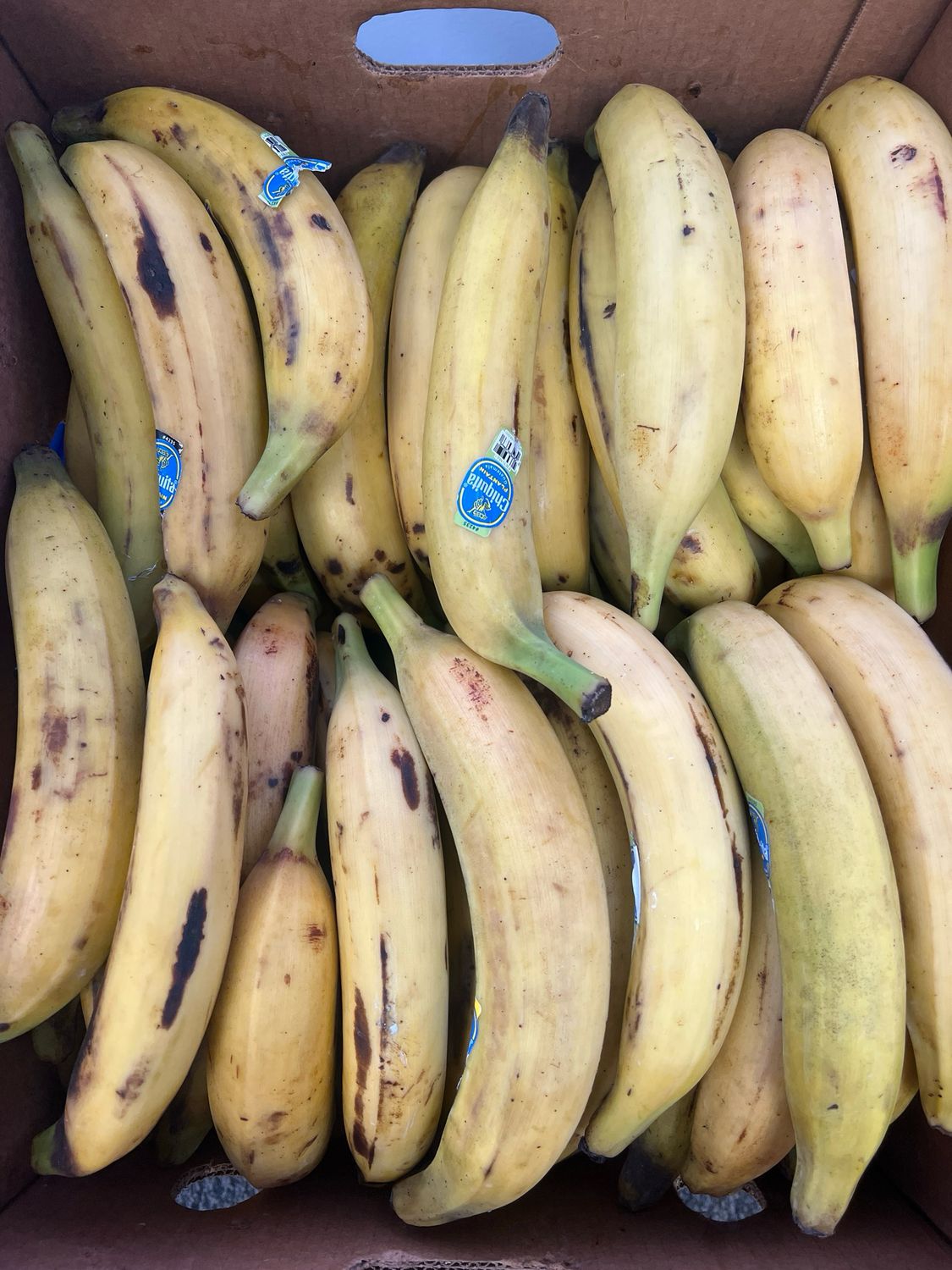 Plátano Maduro ( Precio x libra )