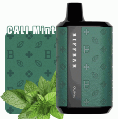 BOX BIFFBAR Cali Mint(Leather Edition) - LUX5500