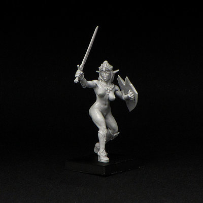 Female Elf Fighter miniature - resin 28 mm for DnD