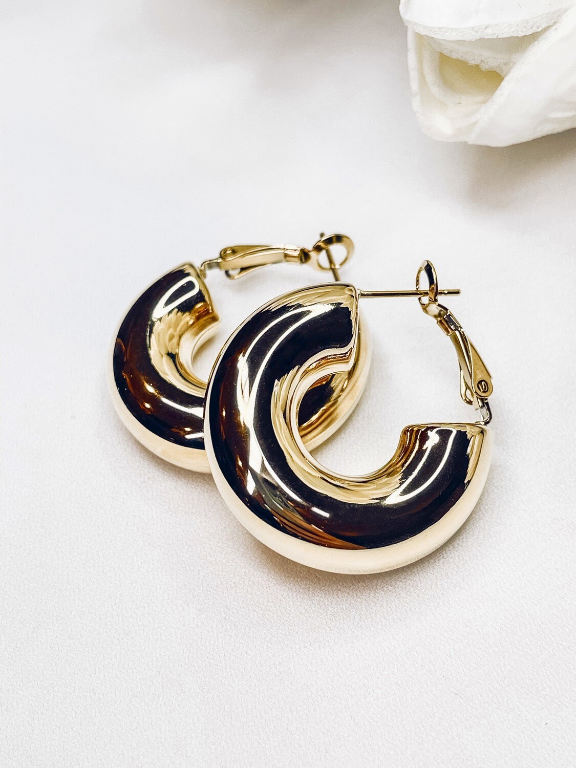 Sneak Peak Earrings